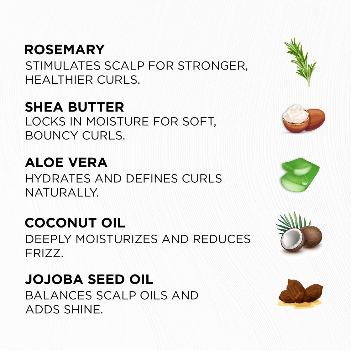 Curl Care Kit