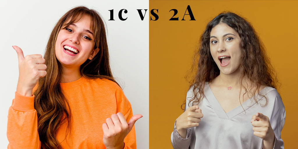 1C vs 2A hair: Haircare, Hairstyles, Products, and More – Controlled Chaos