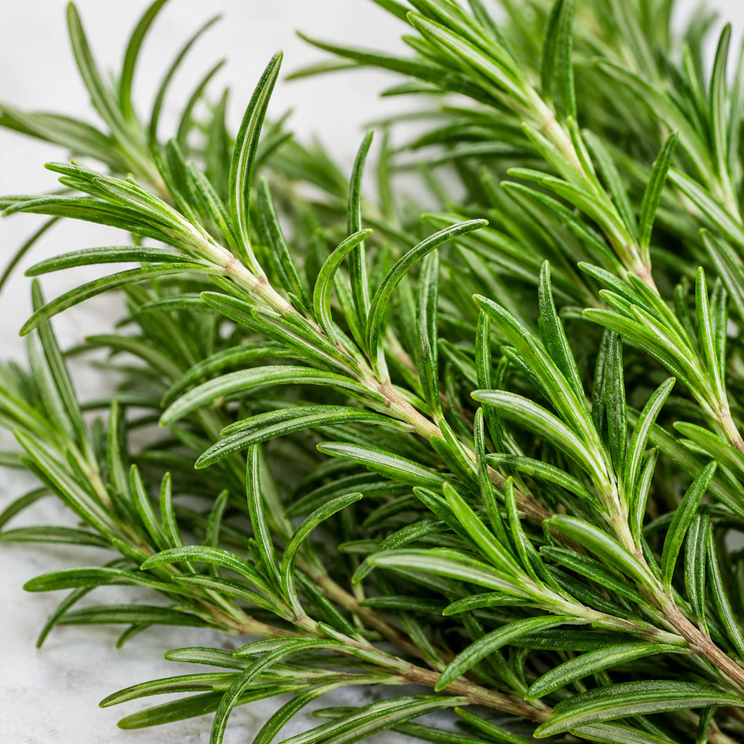 Rosemary